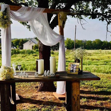 Beautiful Farmhouse W/ Pool On 6 Acres Ranch Aubrey Extérieur photo
